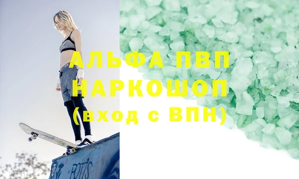 хмурый Абаза