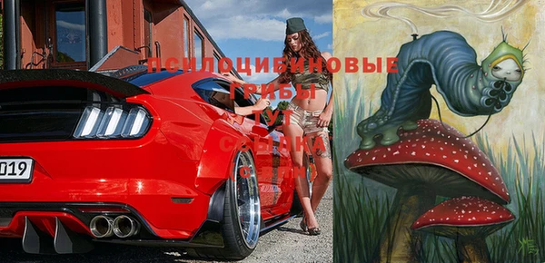 хмурый Абаза