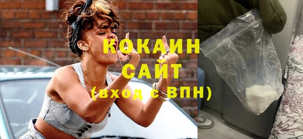 хмурый Абаза