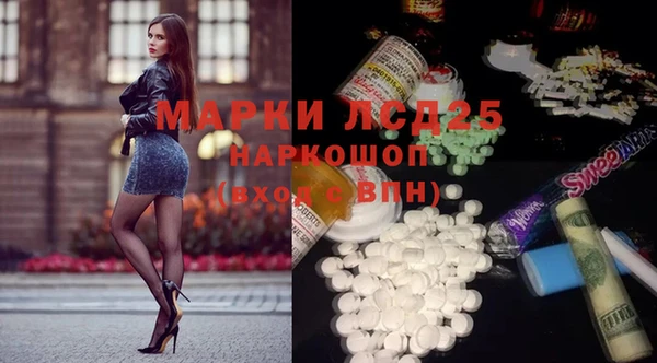 хмурый Абаза